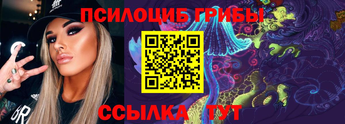 Ртищево  даркнет сайт  Псилоцибиновые грибы Psilocybe  Вход с VPN  Галлюциногенные грибы ЛСД 