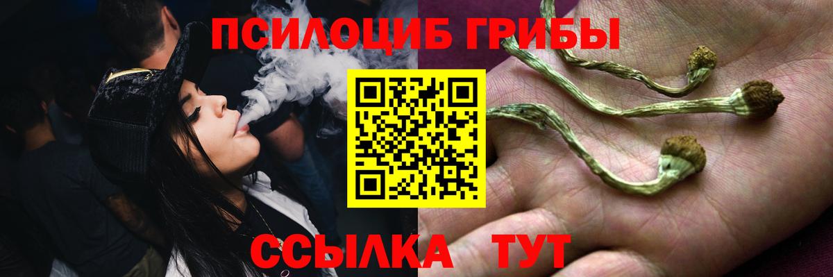 Галлюциногенные грибы Psilocybe Ртищево